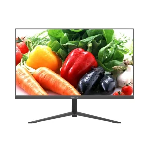 مانیتور میوا مدل HM2FVY